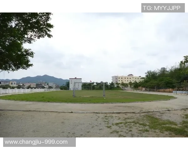 张延足球在西安的崛起与发展探索地方足球文化的未来之路 张延足球在西安的崛起与发展探索地方足球文化的未来之路