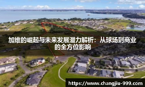 加维的崛起与未来发展潜力解析：从球场到商业的全方位影响